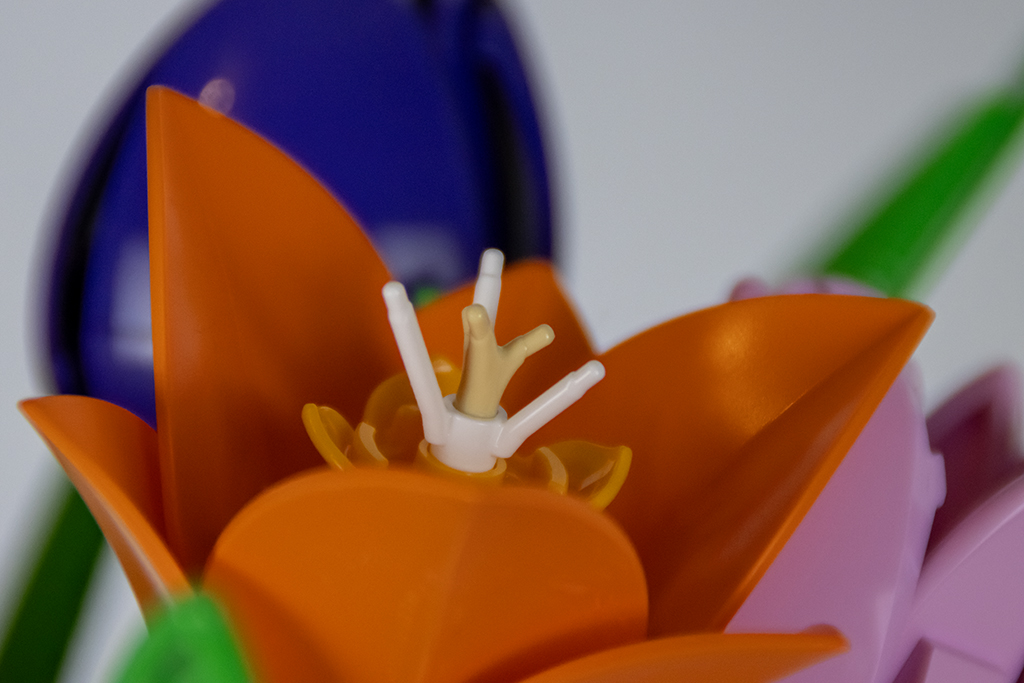 LEGO 11501 Tulpenstrauss Detail